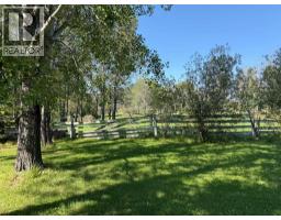 8118 Highway 620, Rural Brazeau County, AB T7A2A1 Photo 34