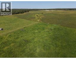 8118 Highway 620, Rural Brazeau County, AB T7A2A1 Photo 45