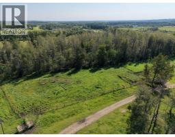 8118 Highway 620, Rural Brazeau County, AB T7A2A1 Photo 37