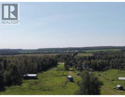 8118 Highway 620, Rural Brazeau County, AB T7A2A1 Photo 47