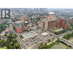 18, 316 22 Avenue Sw, Calgary, AB T2S0H4 Photo 25