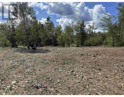 Lot 25-4 Upper Branch Road, Midville Branch, NS B4V4T1 Photo 10