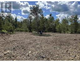 Lot 25-4 Upper Branch Road, Midville Branch, NS B4V4T1 Photo 11