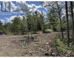 Lot 25-4 Upper Branch Road, Midville Branch, NS B4V4T1 Photo 9