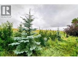 144 Cougarstone Common Sw, Calgary, AB T3H5P5 Photo 47