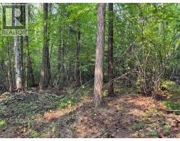 8568 Black Mountain Road, Chase, BC V0E1M0 Photo 12