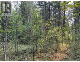 8568 Black Mountain Road, Chase, BC V0E1M0 Photo 15