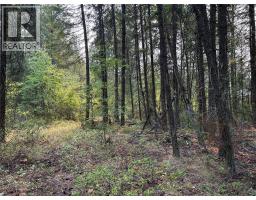 8568 Black Mountain Road, Chase, BC V0E1M0 Photo 13