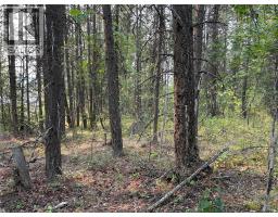 8568 Black Mountain Road, Chase, BC V0E1M0 Photo 11
