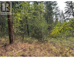 8568 Black Mountain Road, Chase, BC V0E1M0 Photo 14