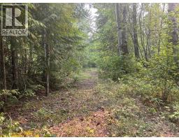 8588 Black Mountain Road, Chase, BC V0E1M0 Photo 19