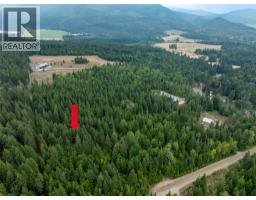 8588 Black Mountain Road, Chase, BC V0E1M0 Photo 8