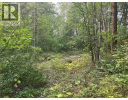 8588 Black Mountain Road, Chase, BC V0E1M0 Photo 16