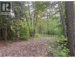 8588 Black Mountain Road, Chase, BC V0E1M0 Photo 17