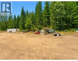 3233 Mabel Lake Road, Enderby, BC V4Y4L4 Photo 10