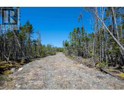 130 Beaver Drive, West Quoddy, NS B0J2R0 Photo 7