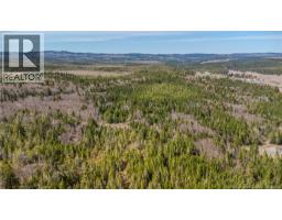 Lot D Old Shore Road, Tynemouth Creek, NB E5R1V8 Photo 15