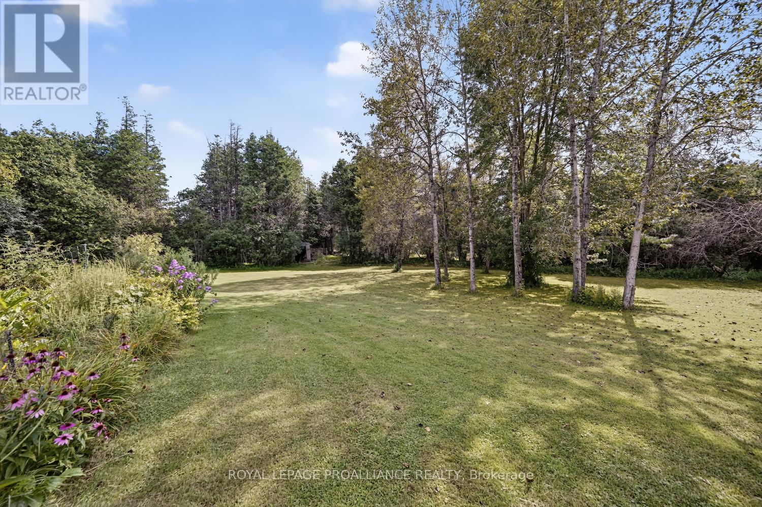 10250 COUNTY ROAD 15 ROAD - Image 37