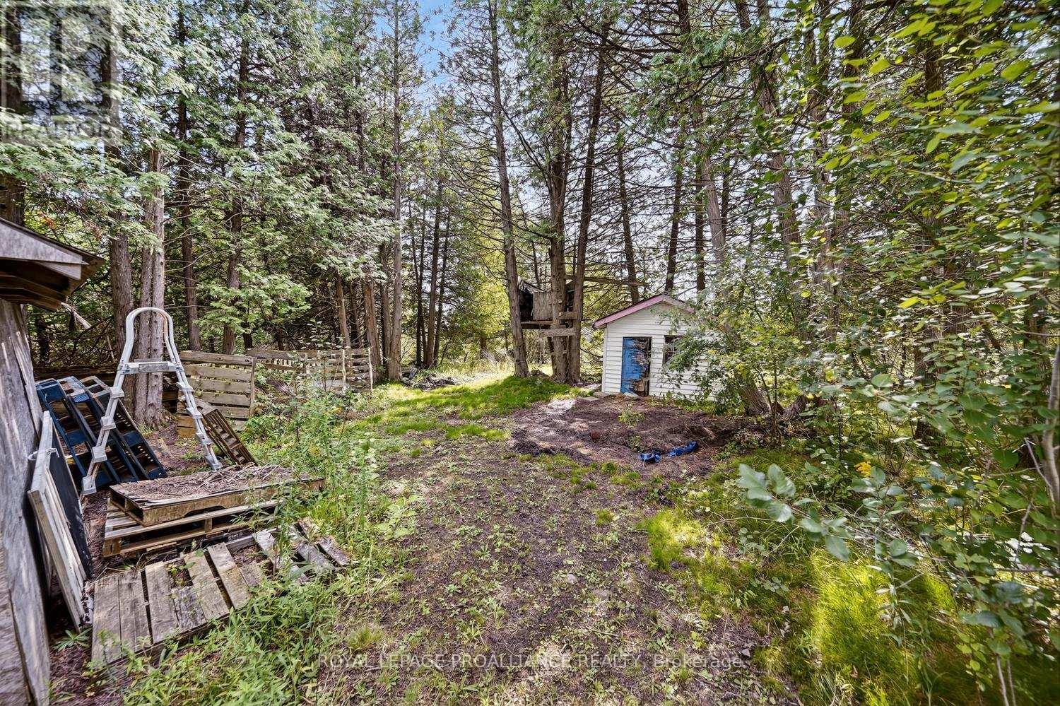 10250 COUNTY ROAD 15 ROAD - Image 39