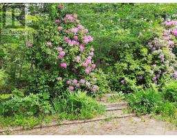 886 Woodstock Road, Clearland, NS B0J2E0 Photo 38