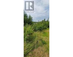 28 Riverside Road West thumbnail 5