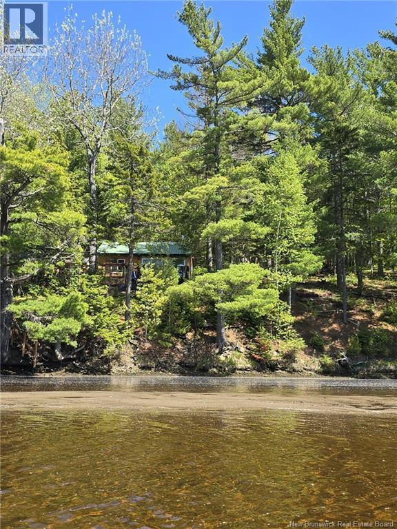 45 Gesner Lane - 46