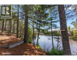 45 Gesner Lane, Mckees Mills, NB E4V0A1 Photo 35