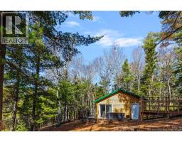 45 Gesner Lane, Mckees Mills, NB E4V0A1 Photo 23