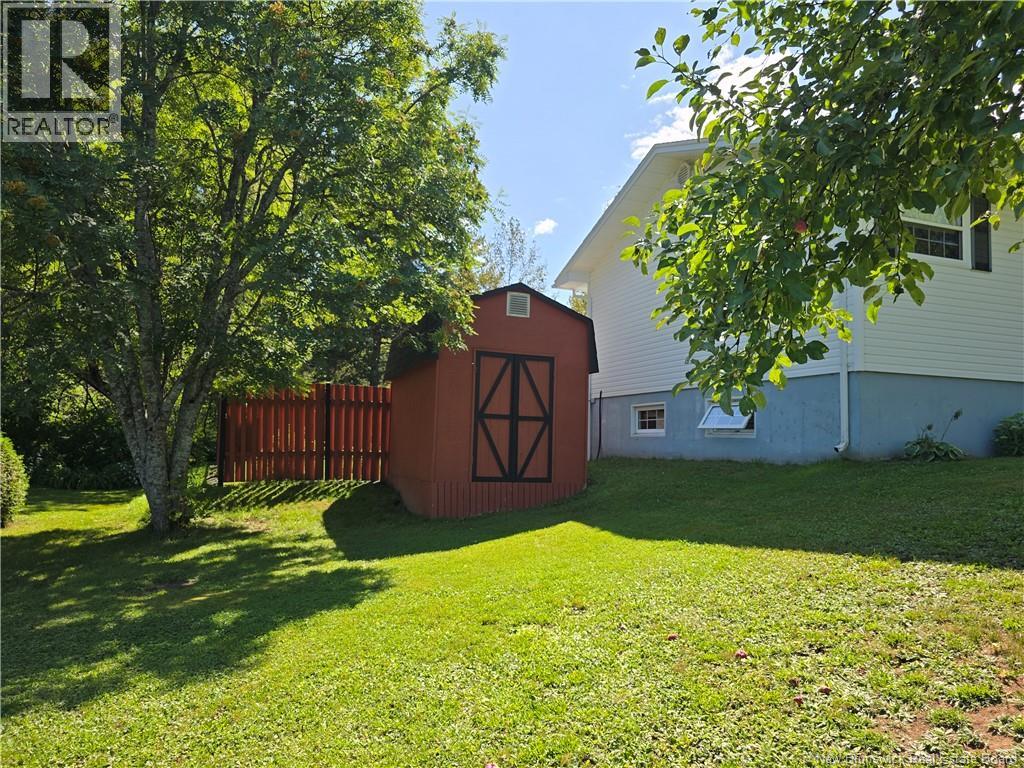 10 Bertin - Image 11