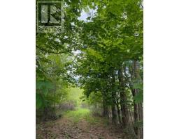 741 Westfield Road, Westfield, NS B0T1B0 Photo 20