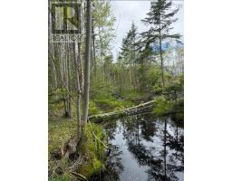 741 Westfield Road, Westfield, NS B0T1B0 Photo 21