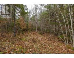 741 Westfield Road, Westfield, NS B0T1B0 Photo 22