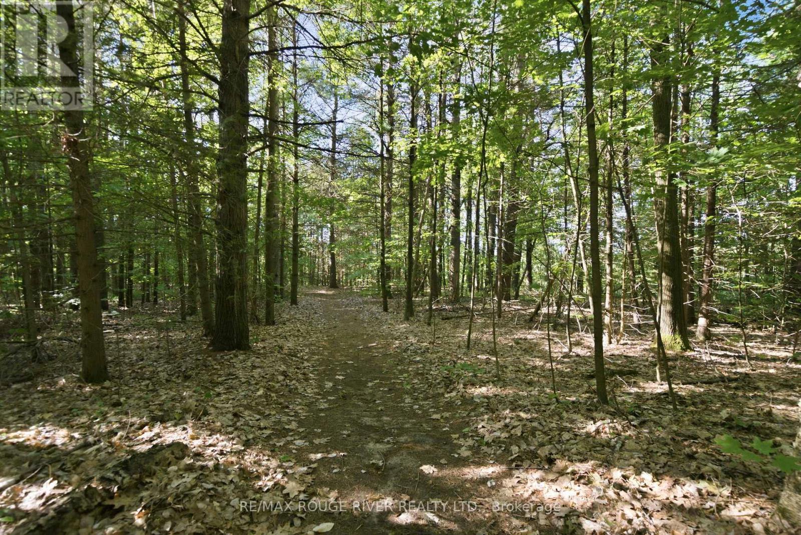 9866 ELLIS ROAD - Image 42