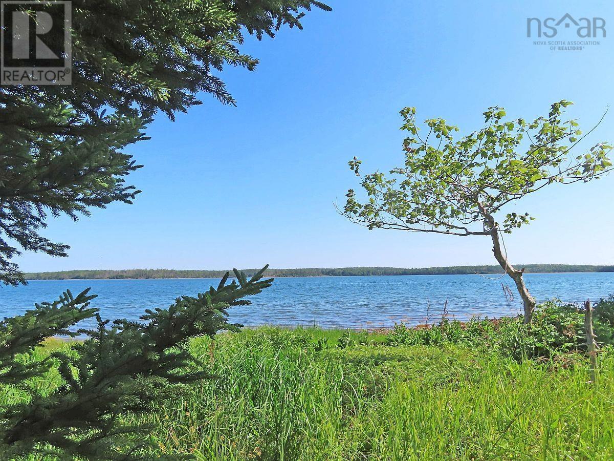 Property 22 of 44 of 76 Acres Perry Lane