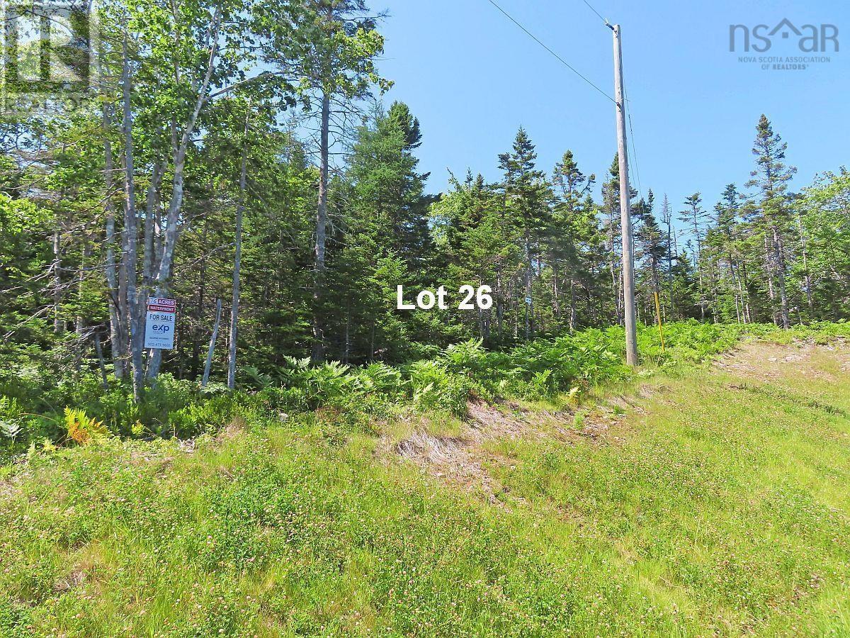 Property 28 of 44 of 76 Acres Perry Lane