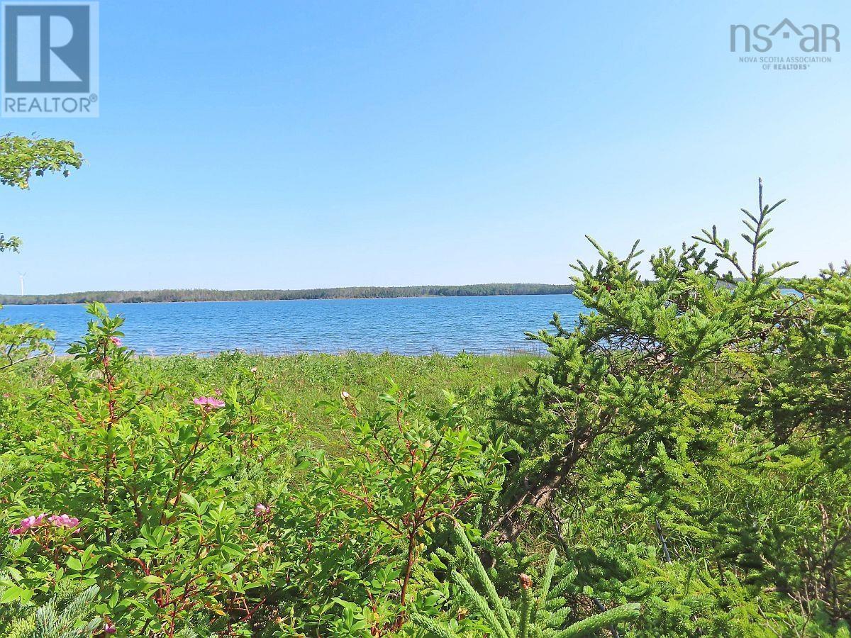 Property 24 of 44 of 76 Acres Perry Lane