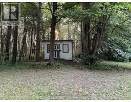 9031 Sideroad 17, Erin, ON N0B1Z0 Photo 13