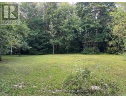 9031 Sideroad 17, Erin, ON N0B1Z0 Photo 16