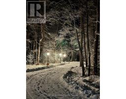 9031 Sideroad 17, Erin, ON N0B1Z0 Photo 19