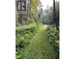 9031 Sideroad 17, Erin, ON N0B1Z0 Photo 34