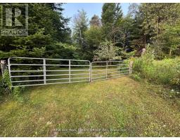 9031 Sideroad 17, Erin, ON N0B1Z0 Photo 35