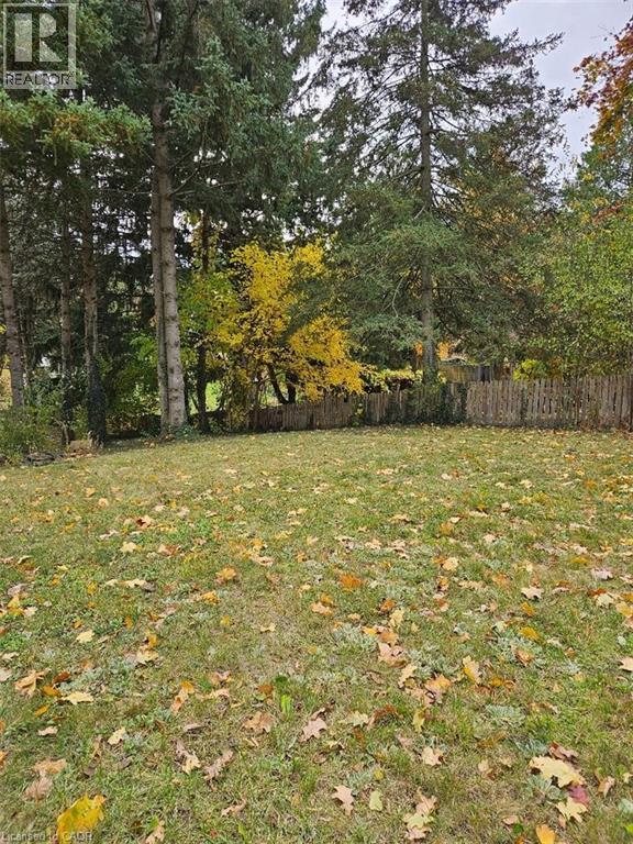 1154 QUEENS Boulevard - 5