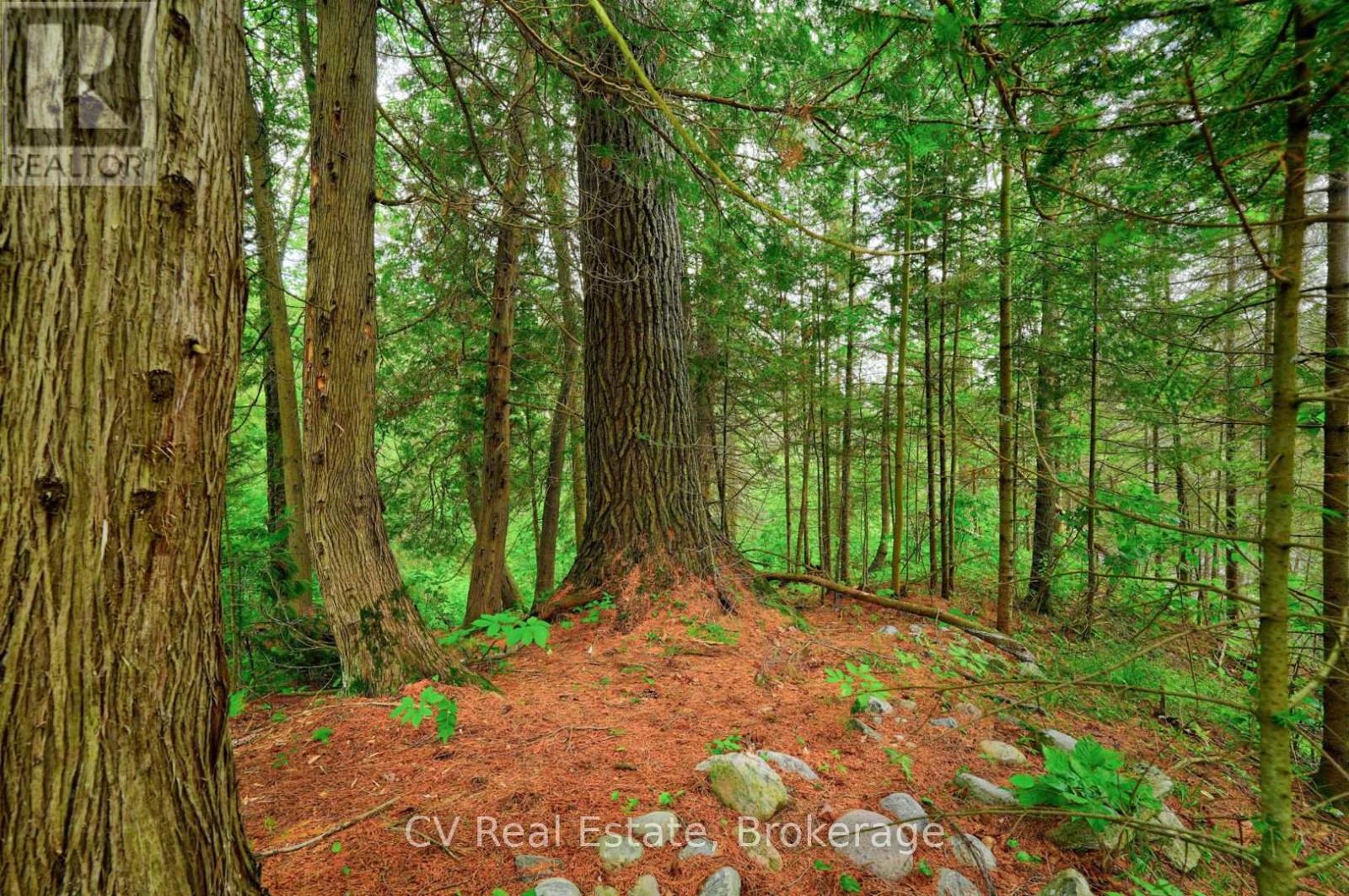 625 CHETWYND ROAD - Image 34