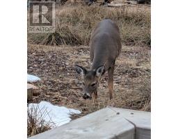 58 Golden Shore Lane, West Bay Marshes, NS B0E3K0 Photo 36