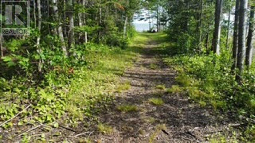 Property 13 of 14 of 08-2 Malagash Road