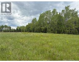 326 Dorn Ridge Road, Burtts Corner, NB E6L2T7 Photo 13