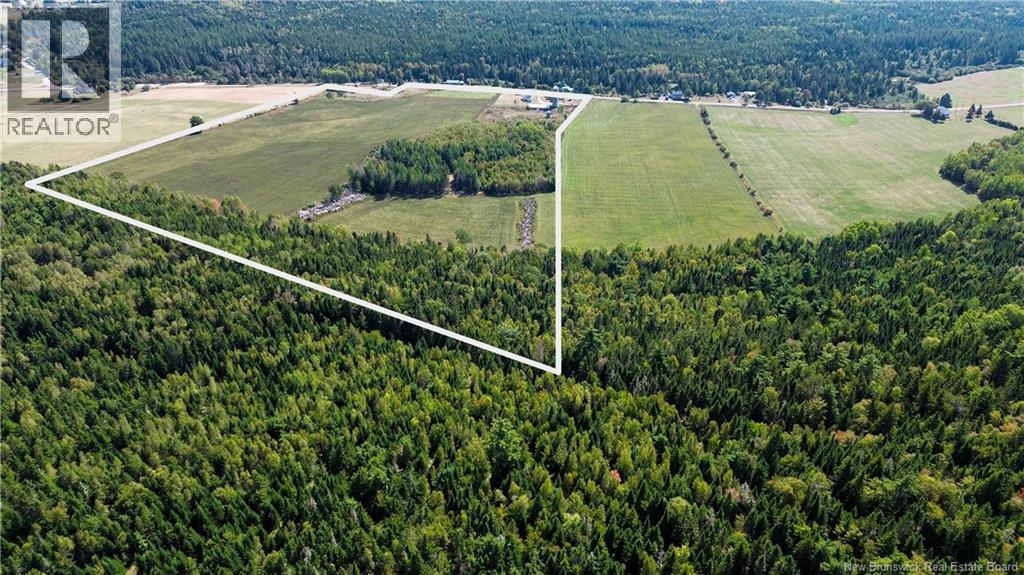 1173 Portage Vale Road - 48