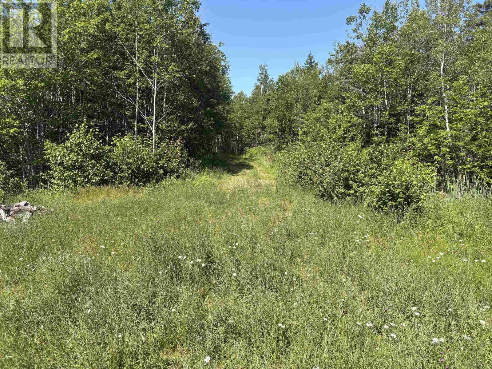 Property 14 of 34 of Lot 9 Longley Mountain Road