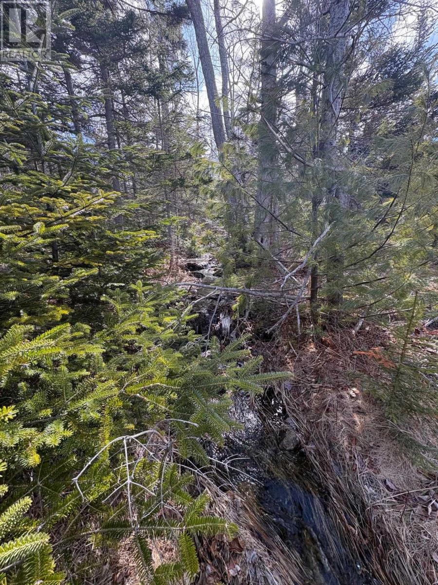 Property 19 of 34 of Lot 9 Longley Mountain Road