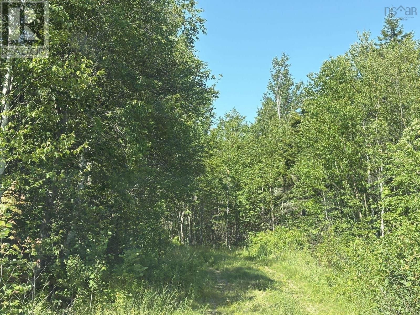 Property 16 of 34 of Lot 9 Longley Mountain Road